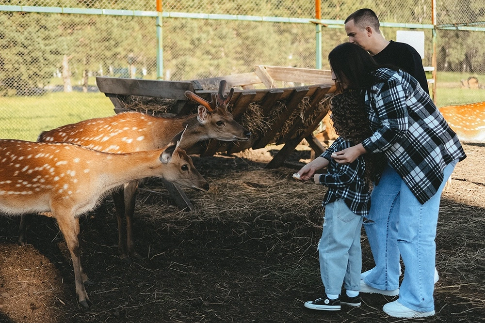 База отдыха «Березовка»