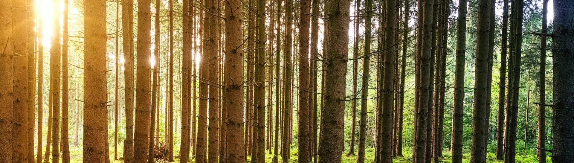 Центр медицинской и социальной реабилитации «Пышма»