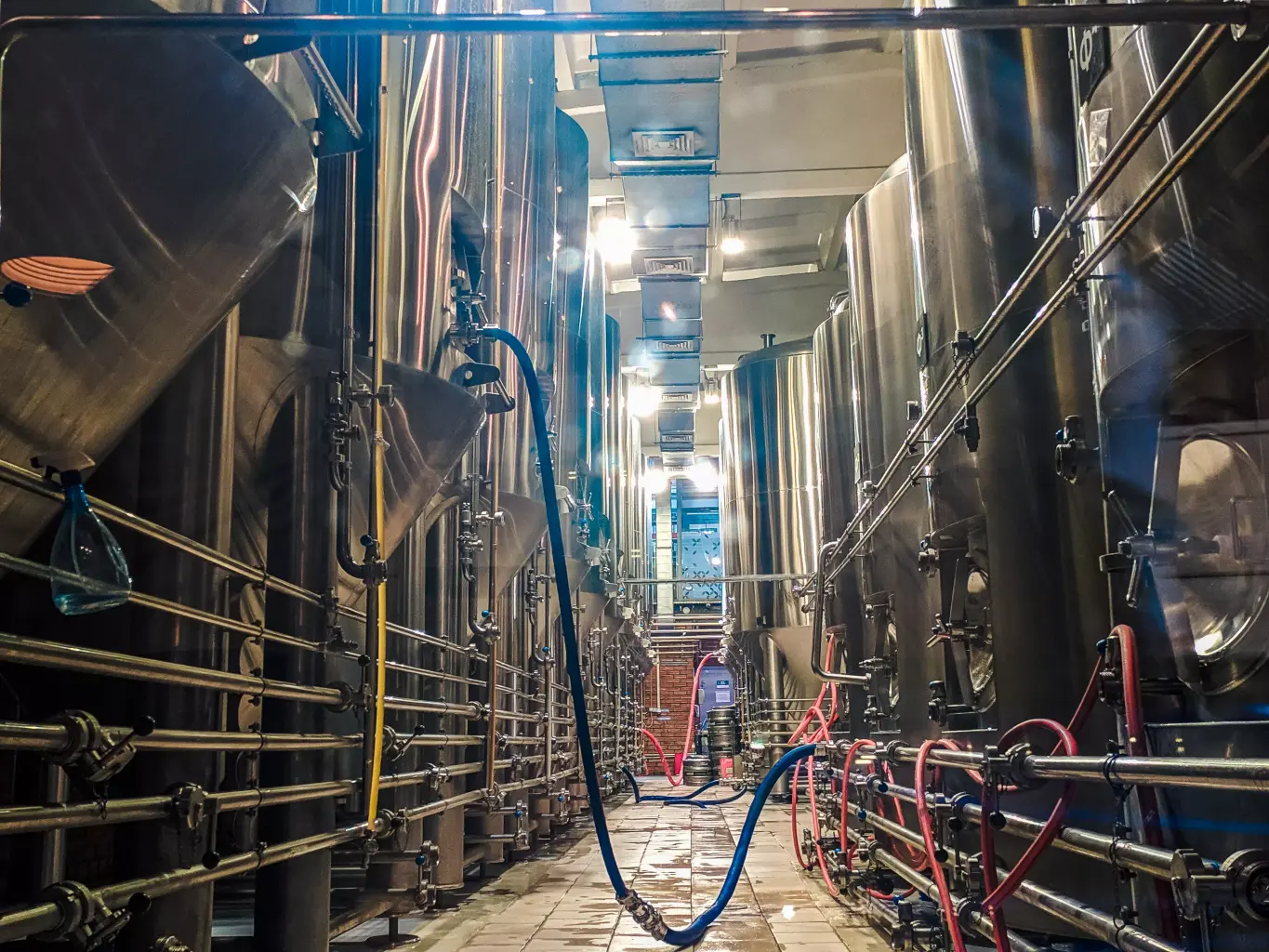 ермолаев-2-1