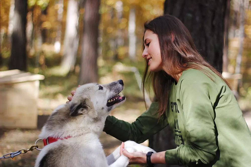 Деревня ездовых собак «Быстрые лапы»