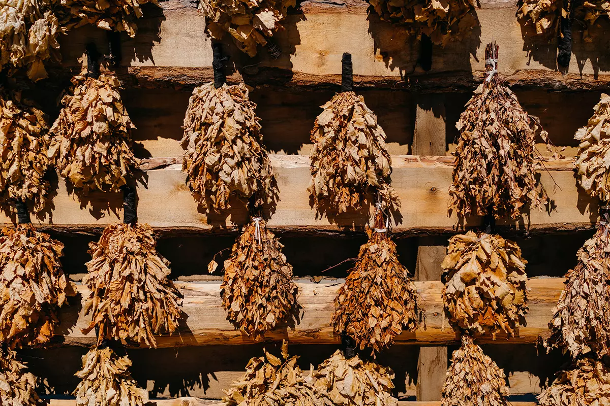 Банный клуб «Бани Сибири»