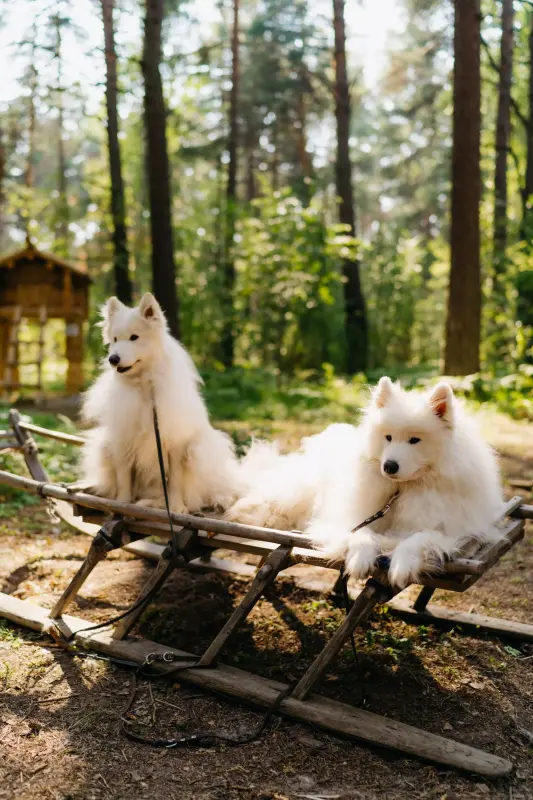 База отдыха «КУЛИГА КЛУБ»