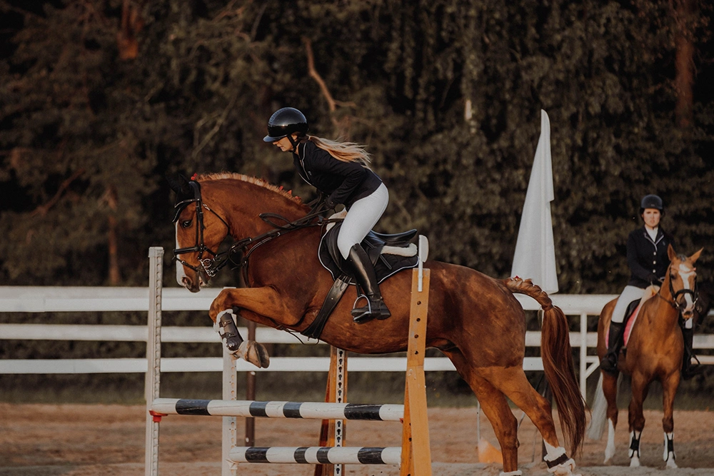 Конный клуб «Форсайд»