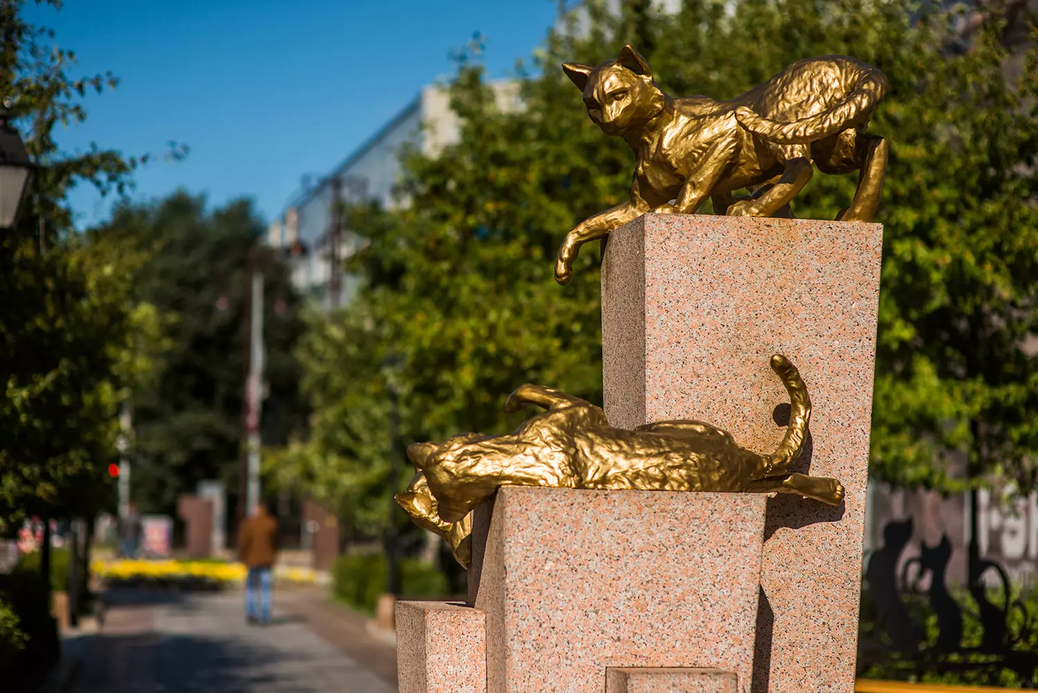 Сквер Сибирских кошек