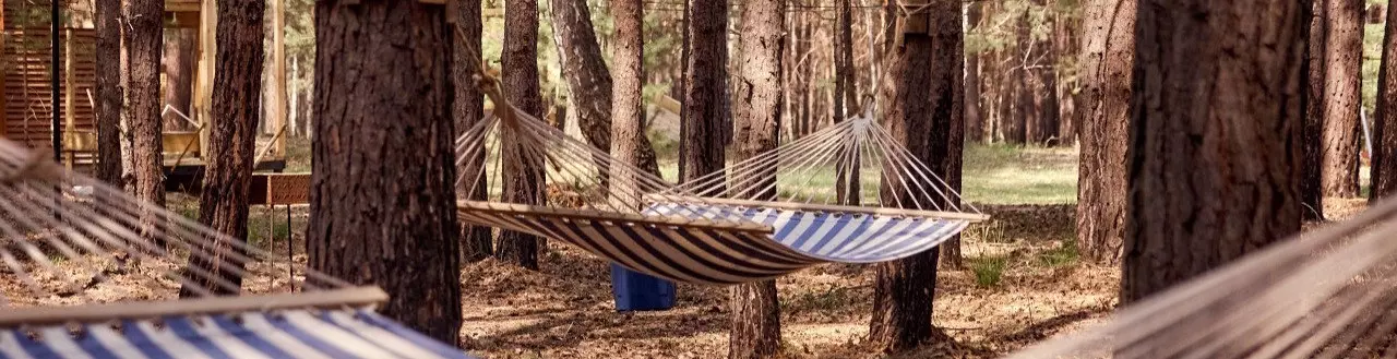 База экологического отдыха и туризма «Сота-парк»