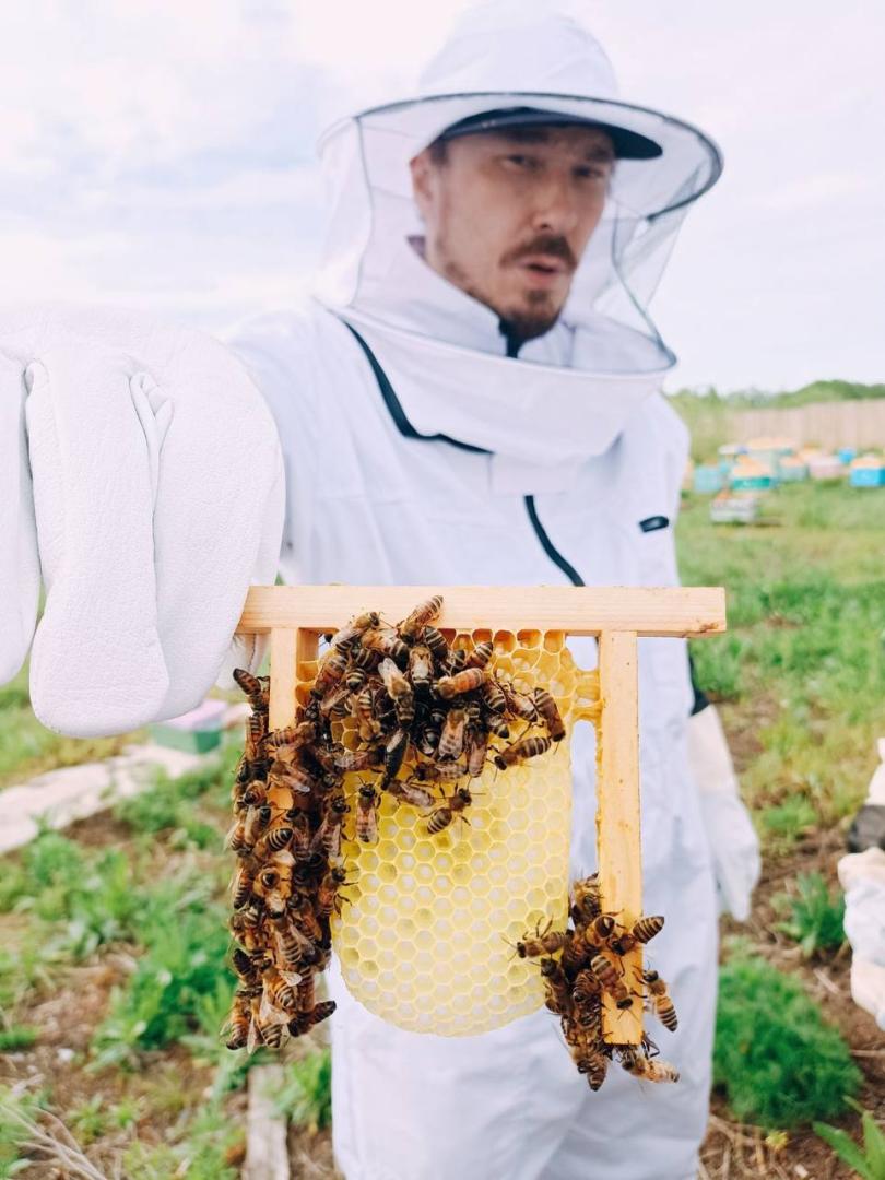 Пасека Панышевых «Медовый двор»