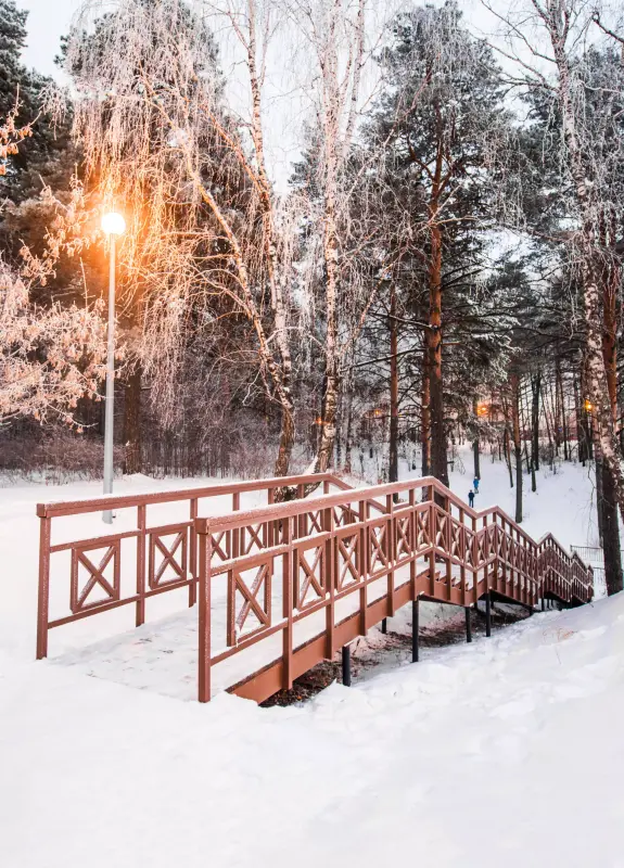 Гилевская роща