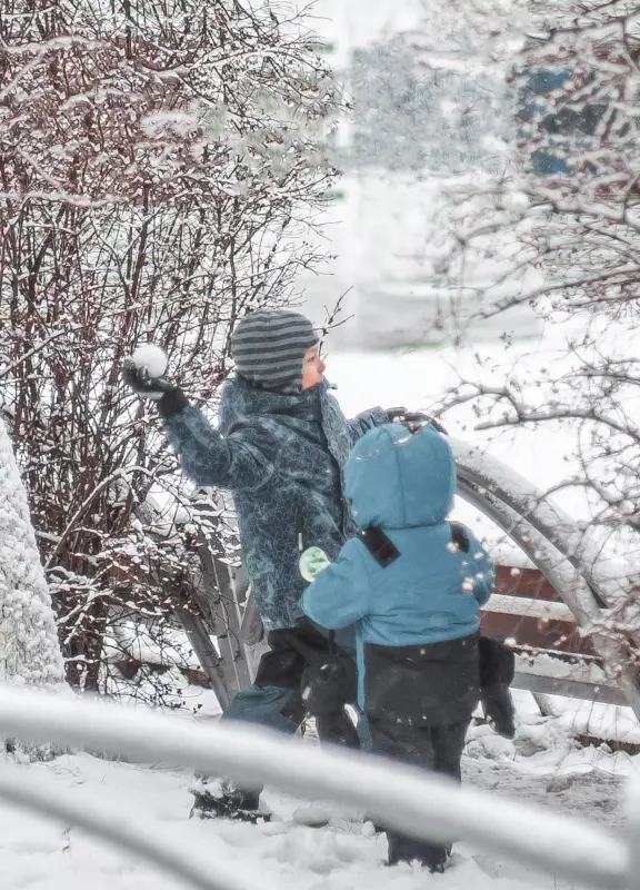 Областной санаторный оздоровительно-образовательный центр «Витязь»