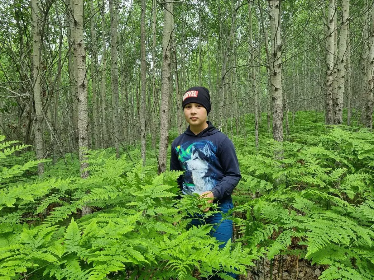 Швейцария недалеко от Тюмени 4