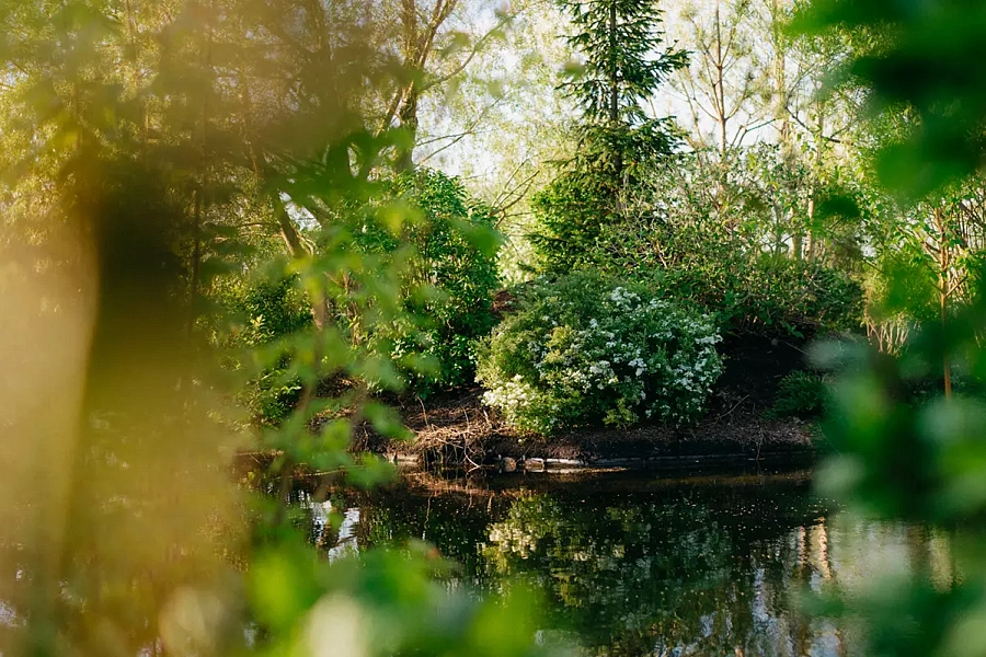 «Ива Парк» и я: побывала в уникальном месте Сибири и Урала