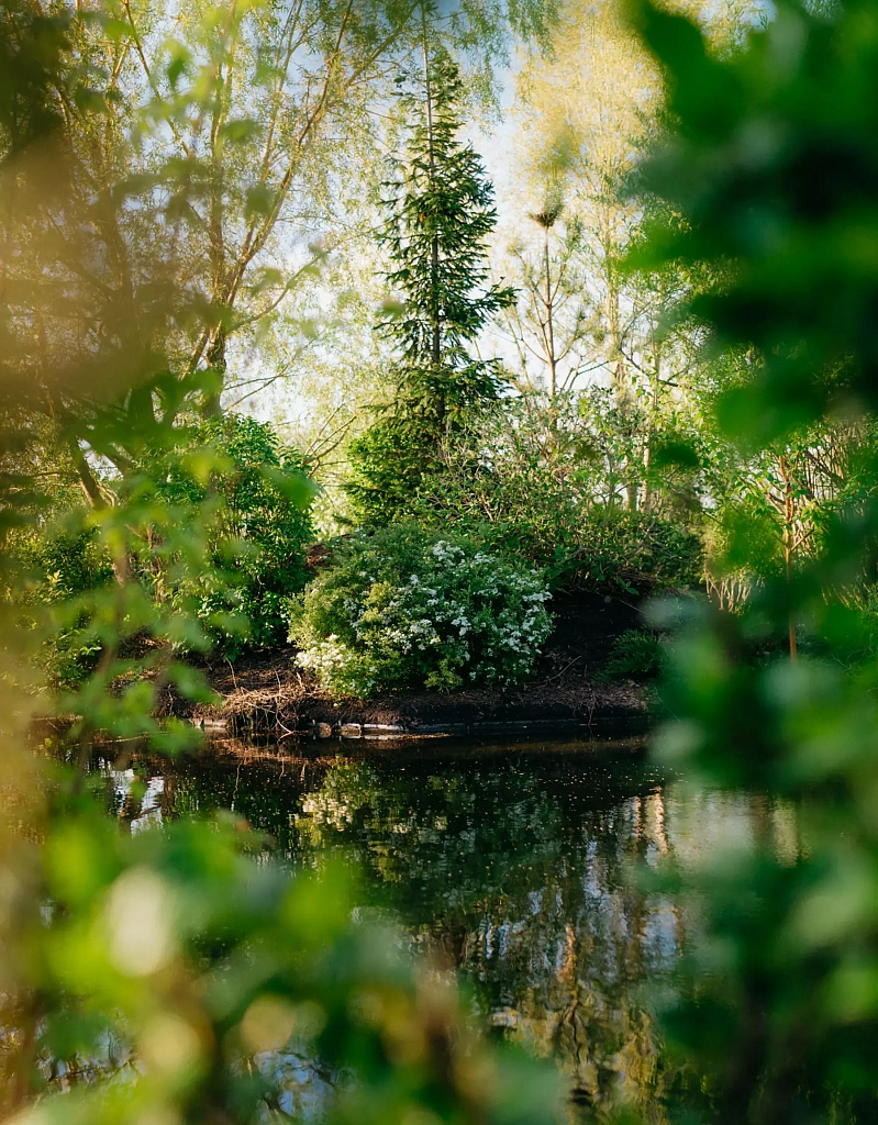 «Ива Парк» и я: побывала в уникальном месте Сибири и Урала