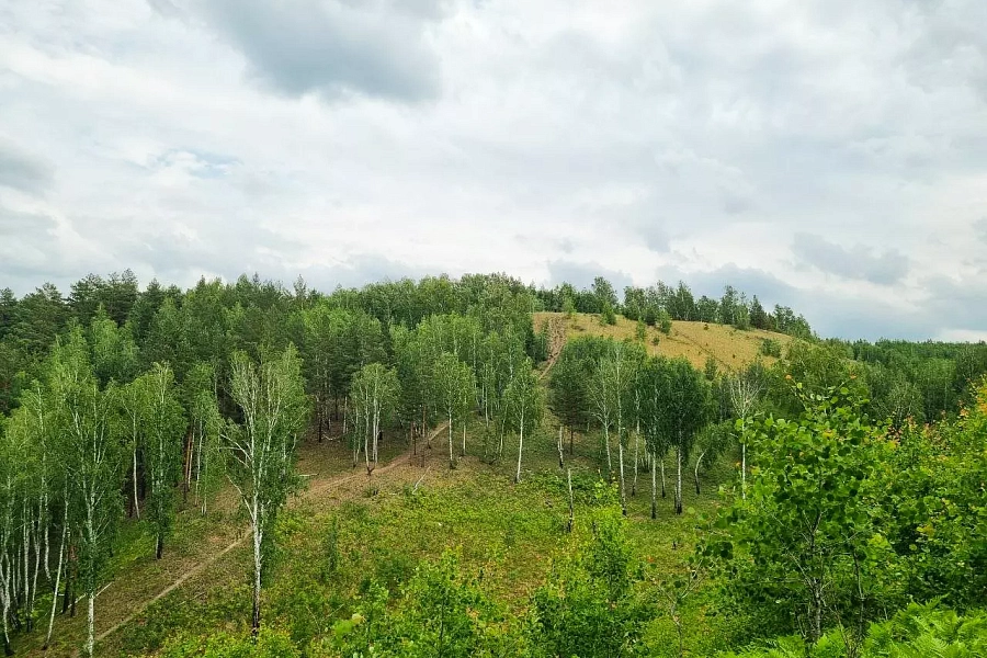 Швейцария недалеко от Тюмени: Марьино ущелье для тех, кто любит нетронутые леса и походы