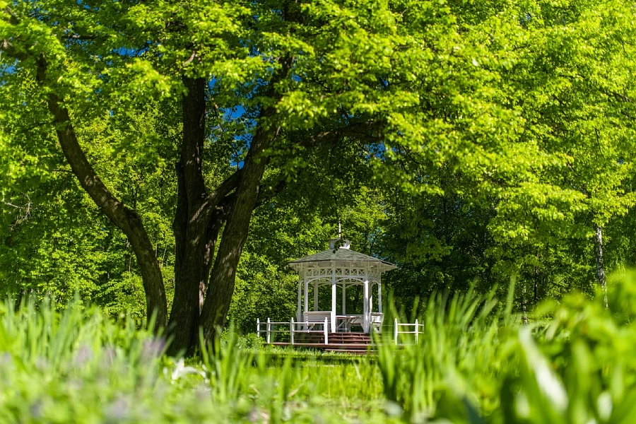 Сад «Ермаково поле» в Тобольске: рукотворное чудо Сибири